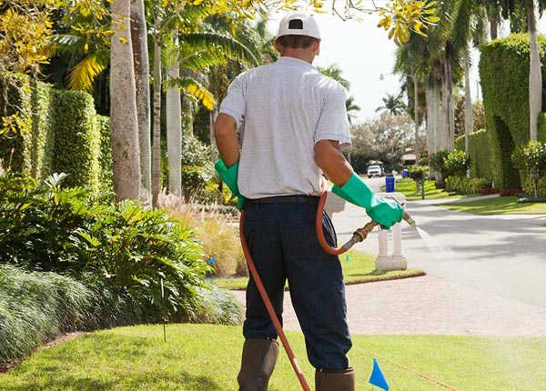 About West Green GA Pest Control Pros